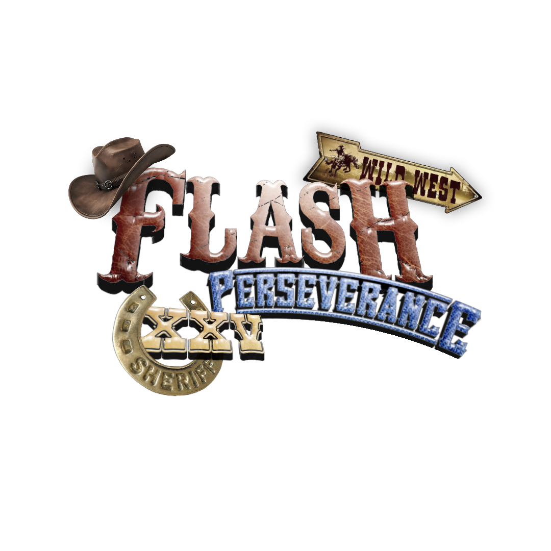 FLASH XXV Logo